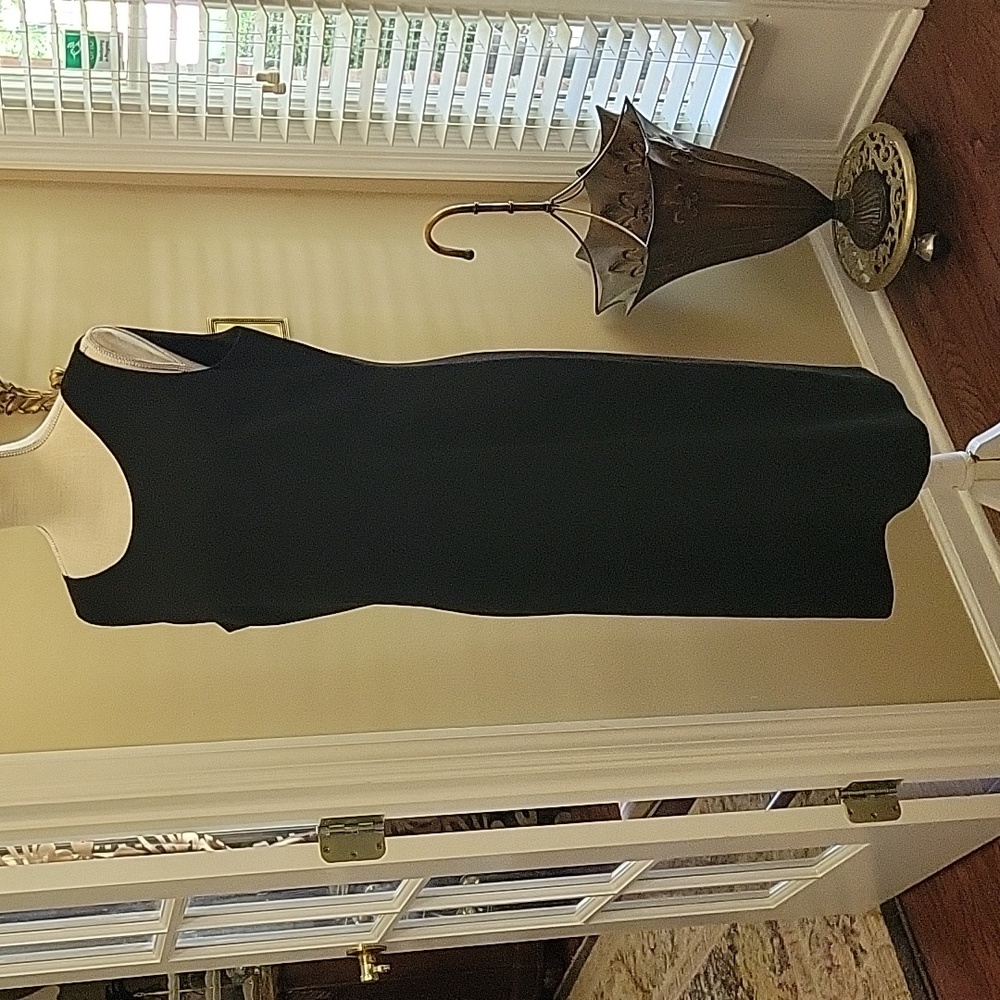 Le Suit Separates black sleeveless sheath dress fully lined Hidden zip 12 EUC…
